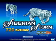 siberian storm slot