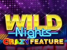Wild Nights video slot