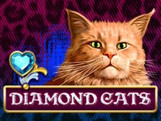 Diamond Cats slot amatic